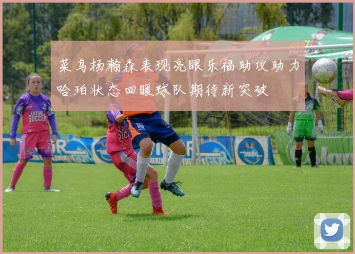 菜鸟杨瀚森表现亮眼乐福助攻助力哈珀状态回暖球队期待新突破